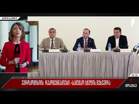 ევროკომისიის რეკომენდაციები - სამუშაო ჯგუფის შეხვედრა