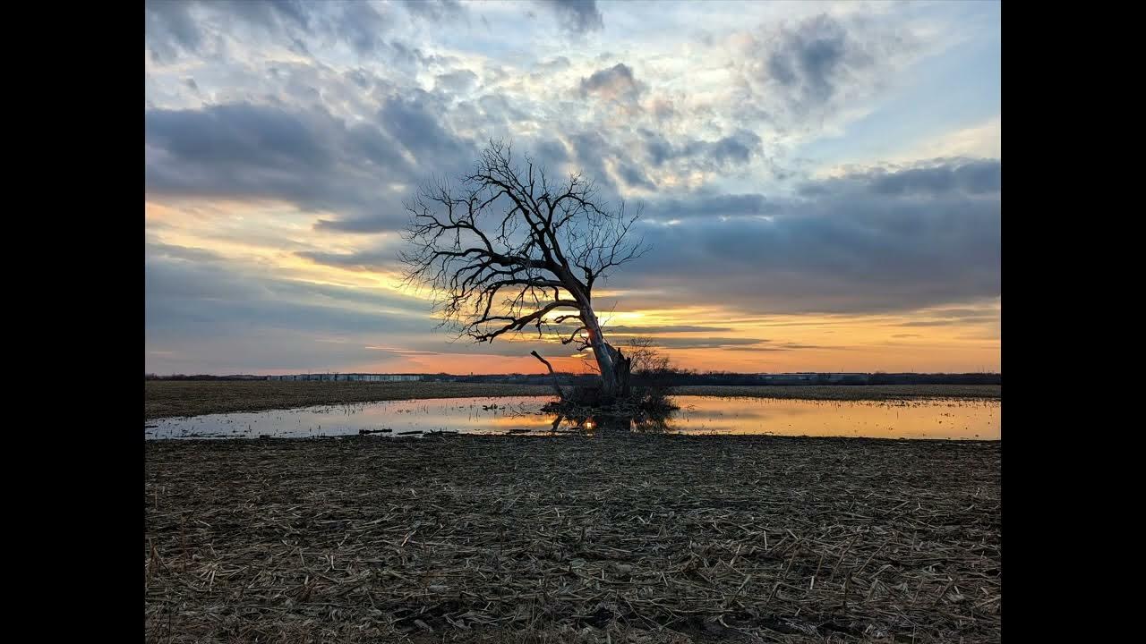 Rural sunset March 21, 2023 YouTube
