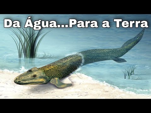 Vídeo: Hipótese: A Evolução Passou Dos Peixes Aos Animais E Depois Aos Humanos Ou Vice-versa? - Visão Alternativa