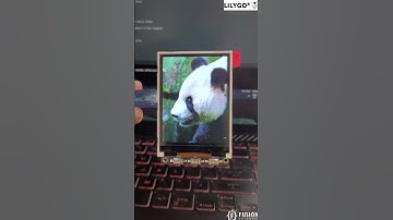 Lilygo T4 V1.3 | ESP32 | ILI9341 LCD Display | PNG Image Example |