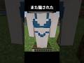 これには引っかかる #マイクラ #マインクラフト #minecraft