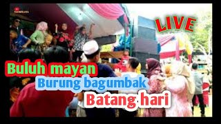 Download Lagu LIVE..BULUH MAYAN, BURUNG BAGUMBAK, BATANG HARI || LAGU DAERAH JAMBI || MUSLIMIN \u0026 YAS KELANA.. MP3 Download Lagu LIVE..BULUH MAYAN, BURUNG BAGUMBAK, BATANG HARI || LAGU DAERAH JAMBI || MUSLIMIN \u0026 YAS KELANA.. MP3
