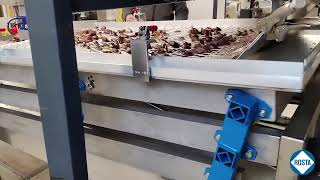 Chestnut De-shelling Machine with ROSTA Inside! by ROSTA AG 69,169 views 3 years ago 47 seconds