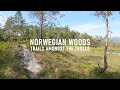 Virtual Run in Norwegian Woods | Treadmill Workout in Amazing Nature Scenery