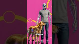 ¿Por qué tu PERRO duerme con la espalda PEGADA a ti?