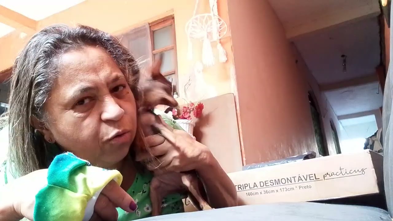 A saga da troca de roupa de Pytucha estressada ❤️