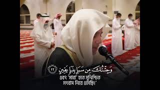 Sura An-Naml (ayat 17-21); Ali Abdulsalam Al-Youssef