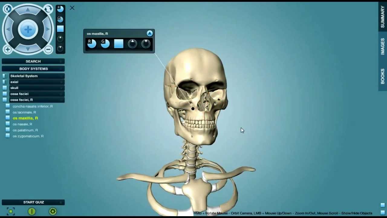anatronica 3d anatomy pro for windows and mac