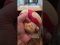 Squishy Haul from CR Toys #squishytoys #squishytoy #squishy #squishies #squishyhaul