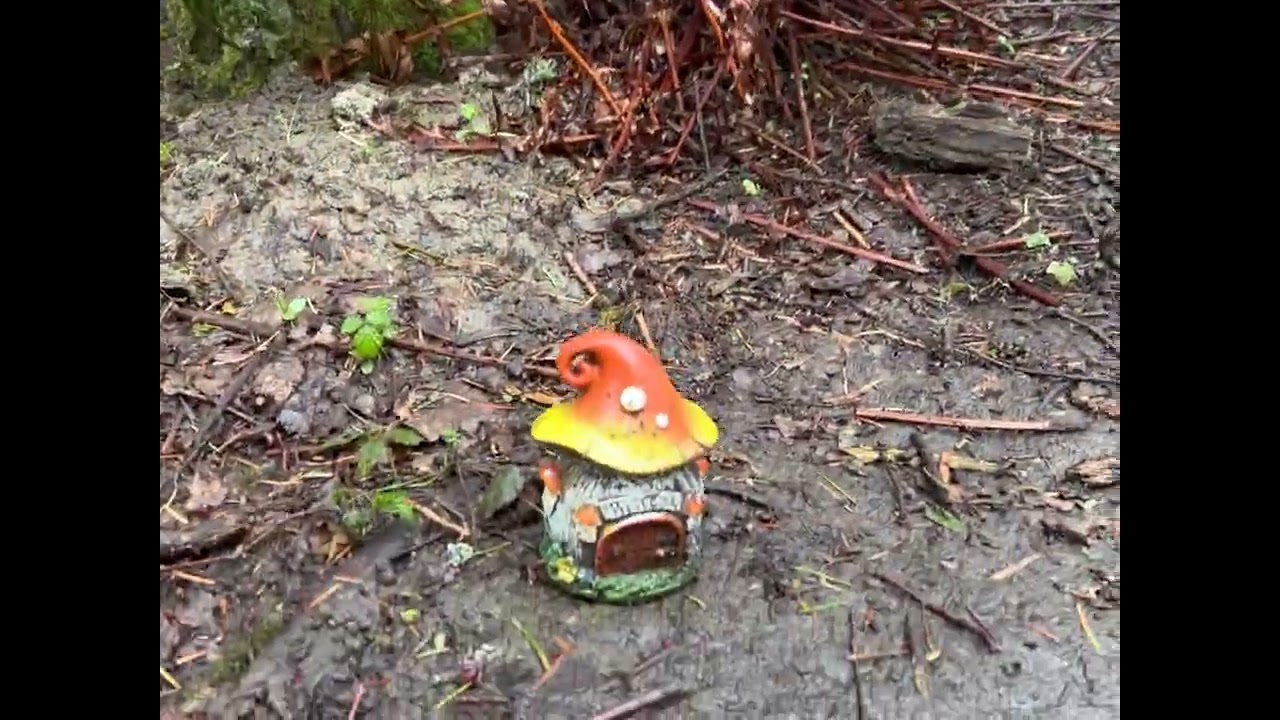 Hiking Camano Island | 3 Trails