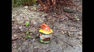 Hiking Camano Island | 3 Trails Information