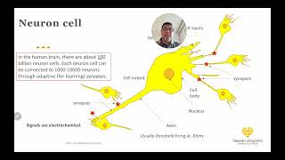 ICAT1100_Artificial_Intelligence_Topic_7_Part_3