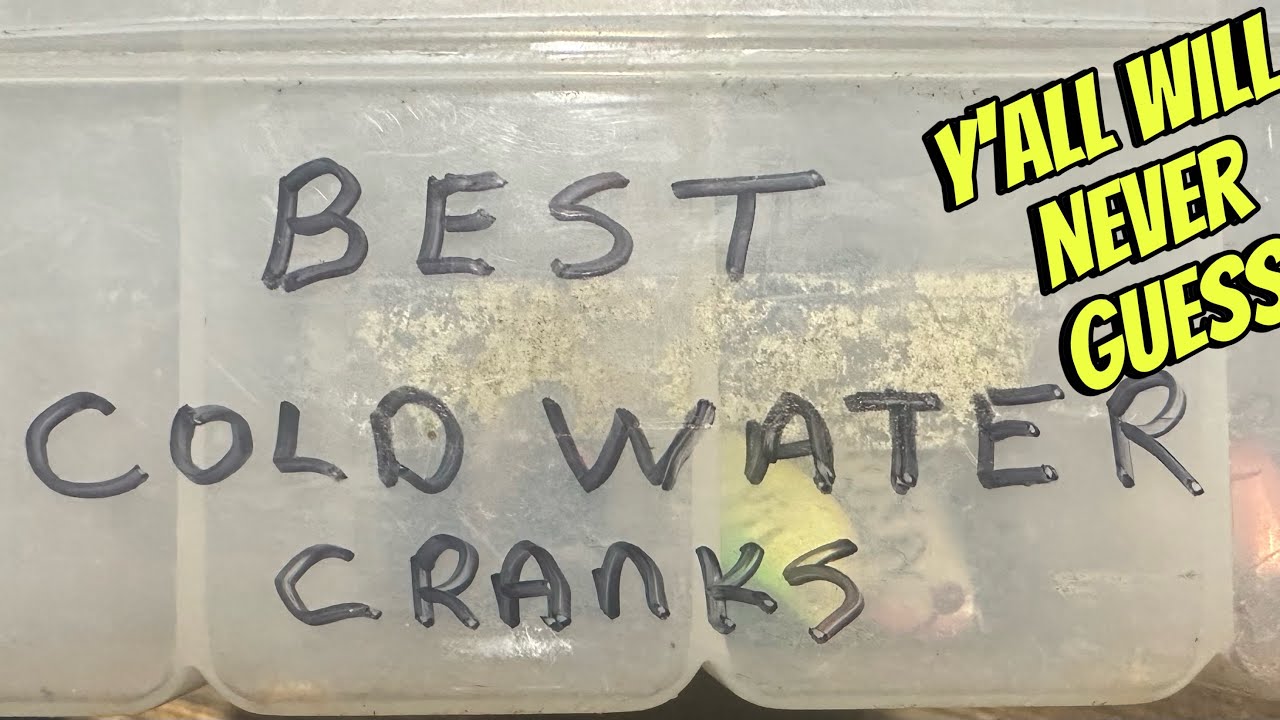 The 3 Best Cold Water Crankbaits Ever Made…(Most Anglers Will Guess Wrong)