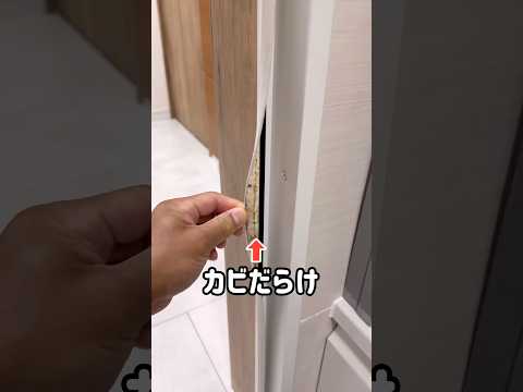 風呂場の頑固なカビをキレイに落とす方法