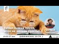 Лекция Григория Тарасевича &quot;Зачем нужна наука, если её нельзя съесть?&quot;