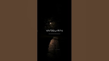وَعِندَهُ مَفاتِحُ الغَيبِ لا يَعلَمُها إِلّا هُوَ | محمد صديق المنشاوي | سورة الأنعام