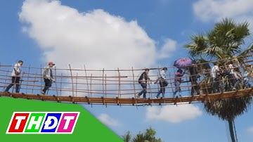 Du khách trải nghiệm đi cầu treo trên cây thốt nốt ở An Giang | THDT
