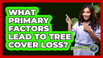 What Primary Factors Lead To Tree Cover Loss?