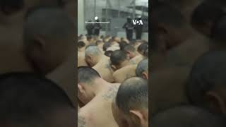 El Salvador Transfers 2,000 More Inmates to Mega Prison #shorts  | VOA News