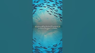 قرآن كريم🎧🫀🥰#تيك_توك #اكسبلور #لايك #حالات_واتس