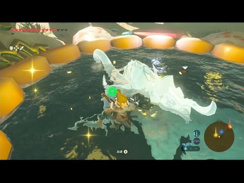 ブレワイ Botw 大妖精の泉にモンスターを入れてみた ドリカラ Youtube