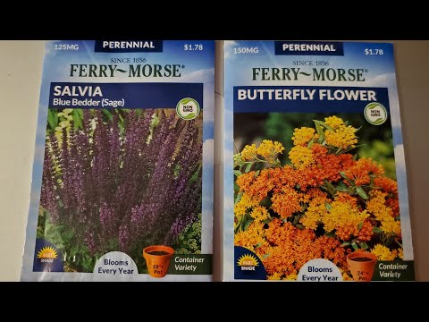 Video: ¿Ferry Morse Seeds está libre de transgénicos?