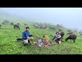 Rainy Day in the Meadow, Grazing Sheep and Preparing Butter By Nomads