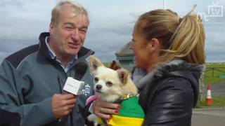 MTTV archive: Star Paws 23.9.2012