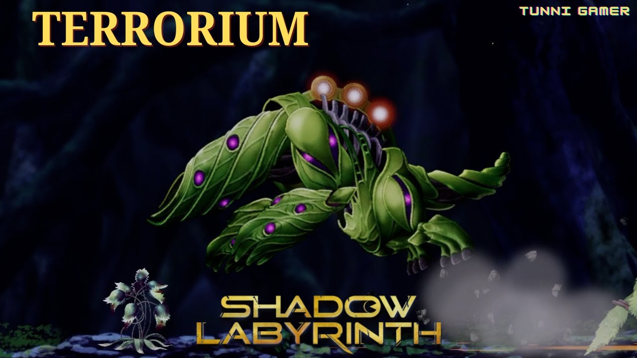 Terrorium Boss Fight In Sky High Tree | Shadow Labyrinth 