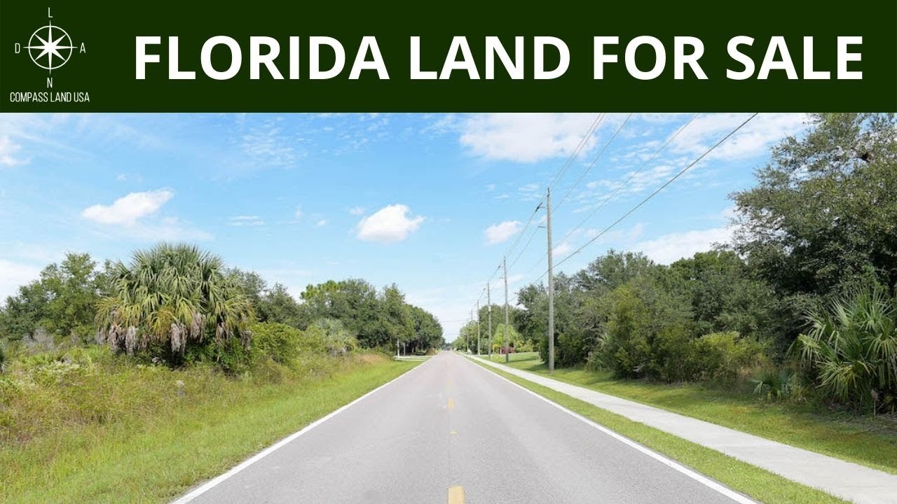 0.23 Acres - With Power & City Water! In Punta Gorda, Charlotte County FL