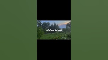 اكتب اي شيء تؤجر عليه 🤍 #تلاوة_خاشعة #قرآن #quran #محمد_ايوب