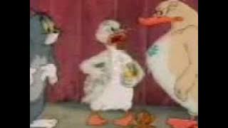 توم وجيري مصري