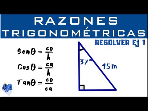 Video: Triángulo De Función