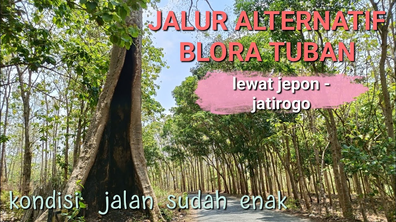 JALUR ALTERNATIF BLORA TUBAN !!! Kondisi jalan mulus sudah banyak yang di cor beton