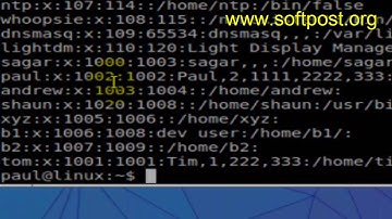 column command example in Linux