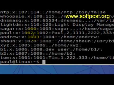 column command example in Linux