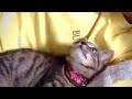 デンちゃんと過ごした夏