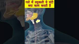 What are the functions of uvula and why do they occur? facts| #shorts #viral #fact_empire