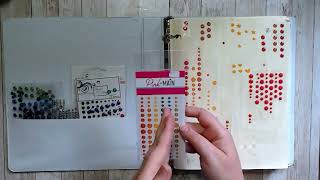 Enamel Dot Organization