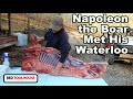 Processing a 400+ LB Boar on the Farm (From Breakdown to Sausage Stuffing)