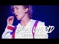 SUPER JUNIOR BLUE WORLD SS8 IN JAPAN 日本琦玉场