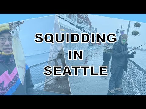 squidding in seattle