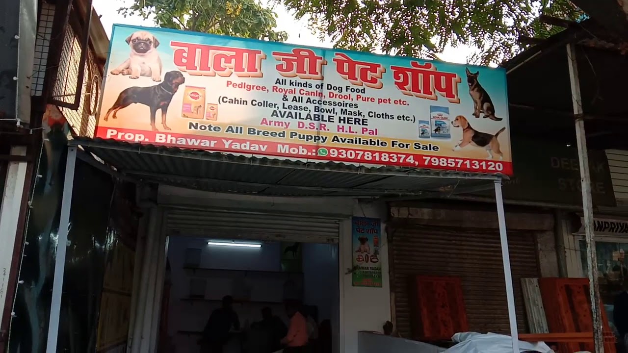 Balaji pet shop YouTube