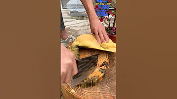 I Just Want To Say Let The Turtle Go But This Knife Is Too Sharp 