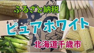 【ふるさと納税 de プチ贅沢】ピュアホワイト（北海道千歳市）