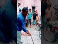 snake🐍🐍🐍🐍🐍