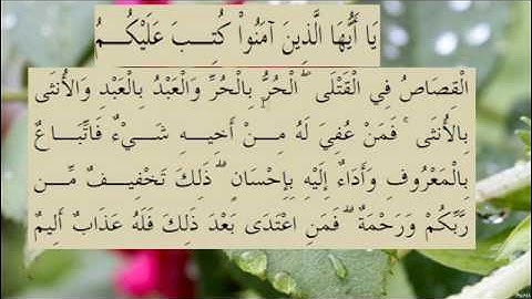 القران الكريم سورة البقرة الاية 178