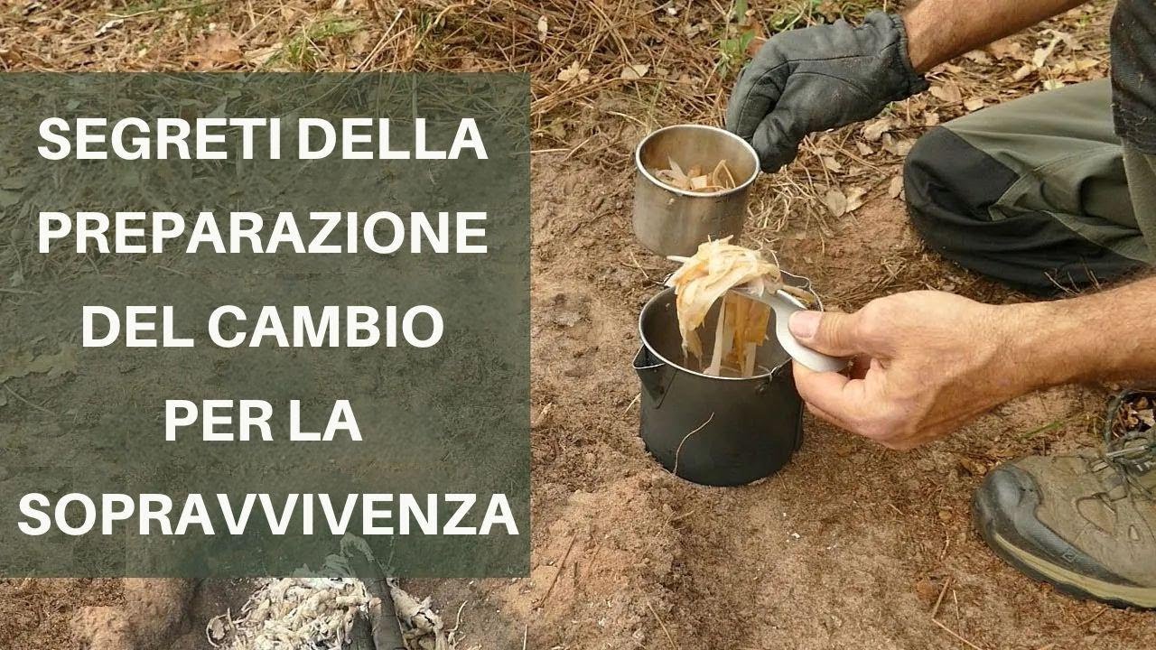 Come non restare mai senza cibo? Scopri questo trucco incredibile!