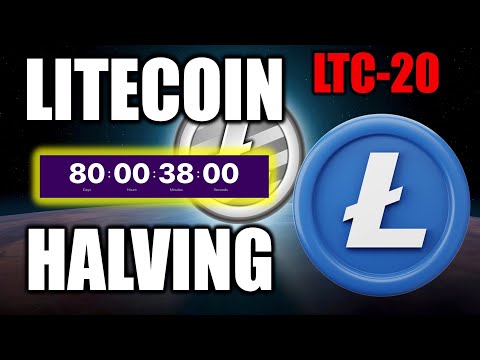 Co to jest Litecoin i dlaczego warto go używać w Godz?