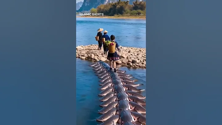 Introducing the VitaWear SmartBand, a next-generation wearable gadget 🎉